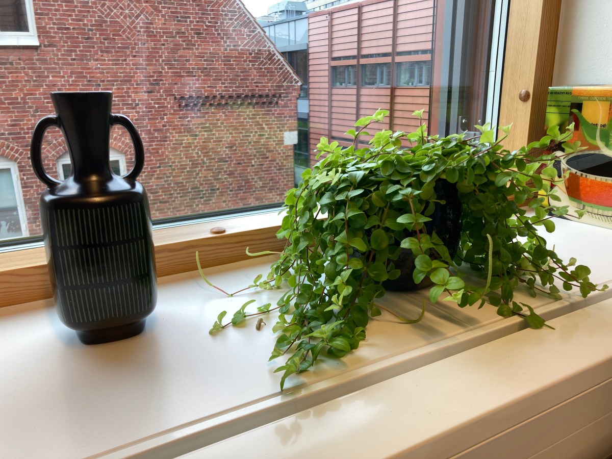 Utrymme för kreativitet